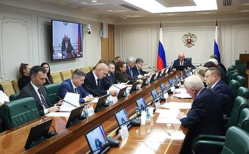 Заседание Комитета Совета Федерации по международным делам