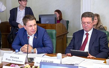 Игорь Зубарев и Валерий Гаевский
