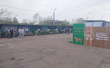 Баир Жамсуев посетил второй этап Российской выставки племенных овец и коз в Чите