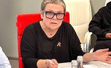 Айрат Гибатдинов обсудил интеграцию образовательной системы Херсонской области в правовое поле Российской Федерации