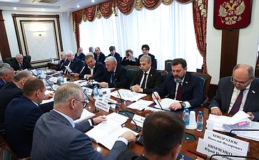 Заседание Комитета Совета Федерации по обороне и безопасности