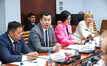Заседание Экспертного совета по здравоохранению при Комитете Совета Федерации по социальной политике на тему «Актуальные вопросы развития санаторно-курортного комплекса Российской Федерации»