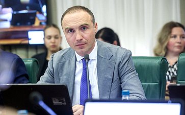 Заседание Комитета Совета Федерации по международным делам