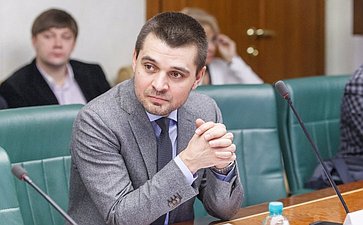 В Совете Федерации состоялось заседание Комитета общественной поддержки жителей Юго-Востока Украины Мамедов