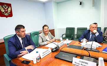 Круглый стол Комитета Совета Федерации по социальной политике совместно с Комитетом Совета Федерации по экономической политике «Создание в России федеральных круглогодичных курортов: реализация федерального проекта «Пять морей и озеро Байкал»»