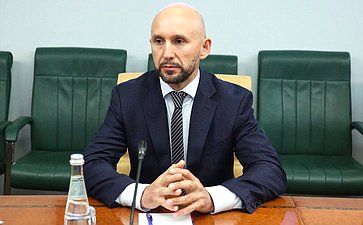 Встреча председателя Комитета Совета Федерации по международным делам Григория Карасина с Чрезвычайным и Полномочным Послом Арабской Республики Египет в РФ Назихом Эльнаггари
