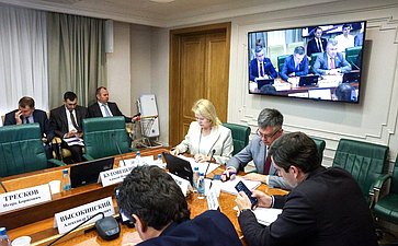 Заседание Комитета Совета Федерации по экономической политике