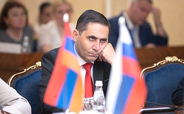 Совместное заседание Комитета СФ по международным делам и Постоянной комиссии по внешним связям Национального Собрания Республики Армения