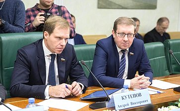 Андрей Кутепов и Алексей Майоров