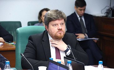 Заседание Комитета Совета Федерации по социальной политике