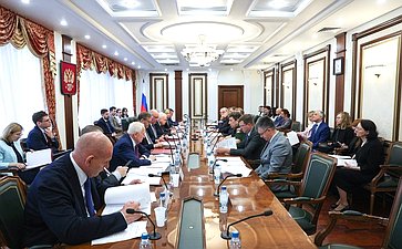 Заседание Комитета Совета Федерации по международным делам