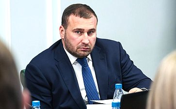 Расширенное заседание Комитета СФ по социальной политике (в рамках дней Тульской области в Совете Федерации)