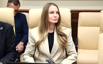 Круглый стол Комитета Совета Федерации по экономической политике «Применение беспилотных летательных аппаратов для фиксации нарушения правил дорожного движения»
