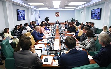 Круглый стол Комитета Совета Федерации по конституционному законодательству и государственному строительству «Цифровая трансформация судебной деятельности: проблемы и перспективы развития»
