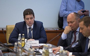 Заседание Временной комиссии СФ по вопросам подготовки и проведения в 2018 г. в РФ чемпионата мира по футболу