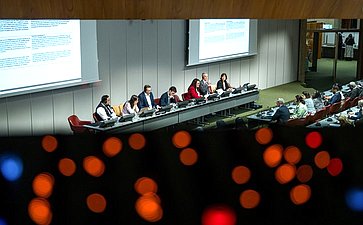 Сенаторы РФ приняли участие в заседании Постоянного комитета по вопросам демократии и прав человека Межпарламентского союза