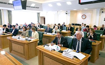 Заседание Совета по развитию социальных инноваций субъектов РФ при Совете Федерации