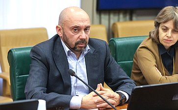 Совещание Комитета СФ по экономической политике «Стимулирование внутреннего спроса на российские товары и поддержки отечественных производителей»