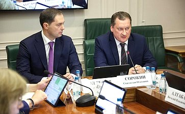 Заседание Комитета Совета Федерации по экономической политике