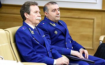 Заседание Комитета Совета Федерации по конституционному законодательству и государственному строительству