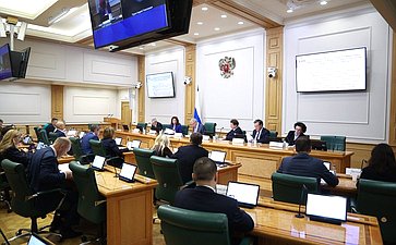 Заседание Комитета Совета Федерации по бюджету и финансовым рынкам