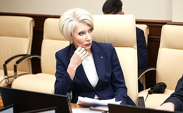 Круглый стол Комитета Совета Федерации по экономической политике «Применение беспилотных летательных аппаратов для фиксации нарушения правил дорожного движения»