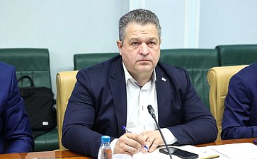 Круглый стол Комитета СФ по социальной политике на тему «О дополнительных мерах поддержки молодых семей в субъектах РФ: законодательный аспект»