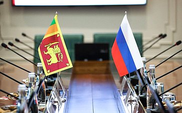 Григорий Карасин провел рабочую встречу с Чрезвычайным и Полномочным Послом Демократической Социалистической Республики Шри-Ланка в РФ Шобини Каушалой Гунасекерой