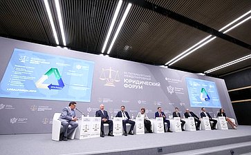 Николай Владимиров выступил на XII Петербургском международном юридическом форуме