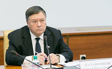 С. Калашников Заседание Временной комиссии СФ по мониторингу экономического развития