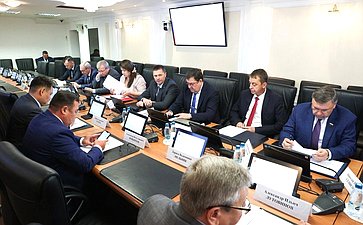 Заседание Комитета Совета Федерации по Регламенту и организации парламентской деятельности