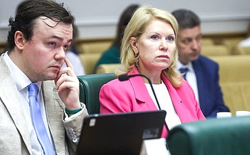 Заседание Комитета Совета Федерации по конституционному законодательству и государственному строительству