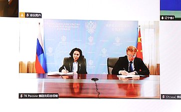 Онлайн-конференция между членами палаты молодых законодателей при СФ и молодыми членами СНП провинции Ляонин КНР