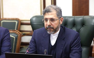 Встреча Григория Карасина с заместителем Министра иностранных дел Исламской Республики Иран