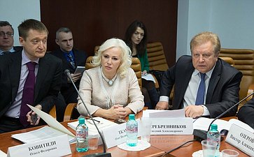 О. Ковитиди Заседание Комитета Совета Федерации по обороне и безопасности