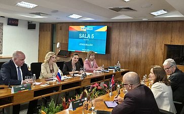 Встреча сенаторов с заместителем Председателя Национальной ассамблеи народной власти Республики Куба Аной Марией Мачадо