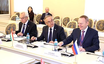 Заседание Контрольно-бюджетной комиссии МПА СНГ
