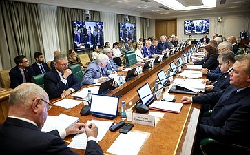 Заседание Комитета Совета Федерации по международным делам