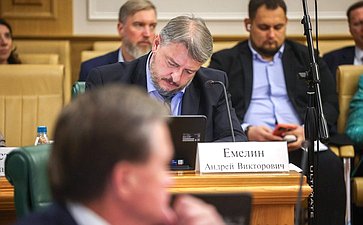Совместное заседание Совета по развитию цифровой экономики при Совете Федерации и Совета по развитию финансового рынка при Совете Федерации на тему «Финтех на службе граждан»