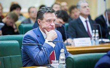Рябухин Заседание Межрегионального банковского совета при Совете Федерации