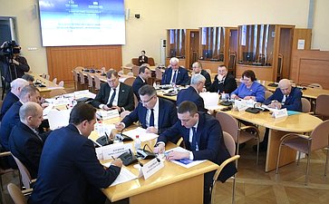 Заседание комиссии Совета законодателей по делам Федерации, регональной политике и местному самоуправлению
