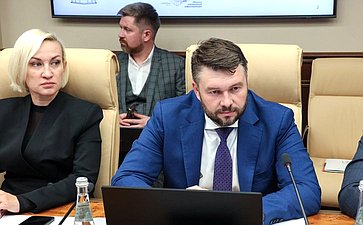 Заседание секции «Цифровые регионы: лучшие практики и стратегии развития» (фото пресс-служба Совета Федерации)