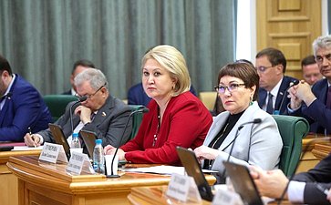 Встреча сенаторов Российской Федерации с Министром экономического развития РФ Максимом Решетниковым в формате «Открытого диалога»