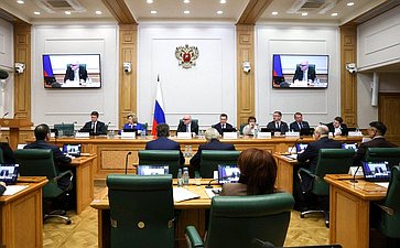 Заседание Комитета Совета Федерации по конституционному законодательству и государственному строительству