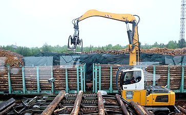 Сенаторы посетили деревоперерабатывающие предприятия в Кировской области