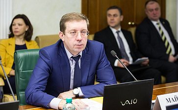 А. Майоров Заседание Комитета СФ по экономической политике