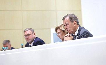 597-е заседание Совета Федерации