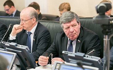 В. Семенов на заседании Комитета по бюджету и финансовым рынкам