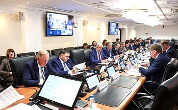 Заседание Комитета Совета Федерации по Регламенту и организации парламентской деятельности