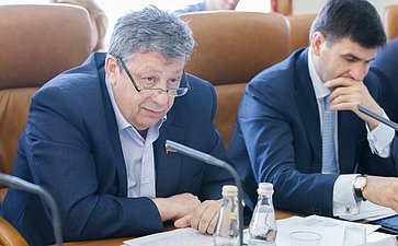 Заседание Комитета по федеративному устройству, региональной политике, местному самоуправлению и делам Севера -8 Чернецкий
